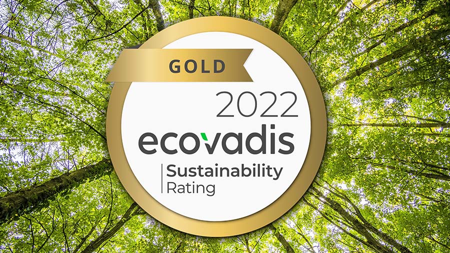 EFESO Consulting awarded Gold medal by EcoVadis for its performance and action on Sustainability and Corporate Social Responsibility (CSR)